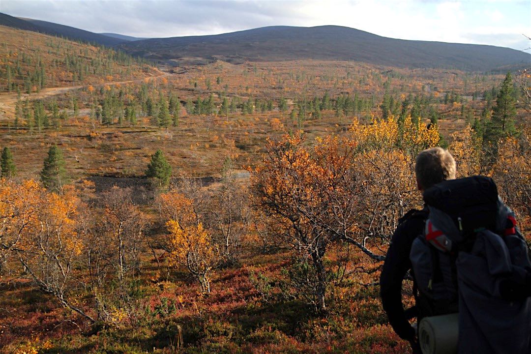 Tunturimaisema UKK-kansallispuistossa